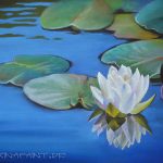 Seerose, 30x40, Pastell
