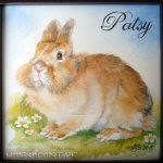 Patsy, 15x15, Aquarell