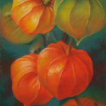 Physalis, 20x25, Pastell