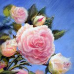 Prowans Rosen, 15x18, Pastell